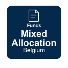 Belgium Mixed Allocation